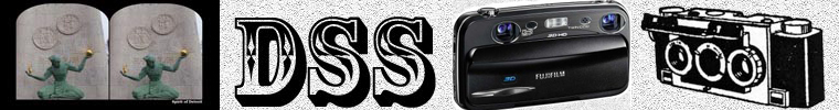 DSS logo